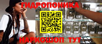 стаф Обь