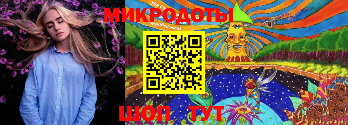 Псилоцибиновые грибы Psilocybe Северск